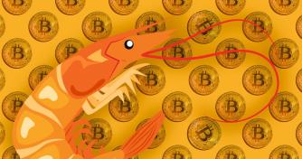 Bitcoin shrimps accumulated 35k BTC in the last 30 days